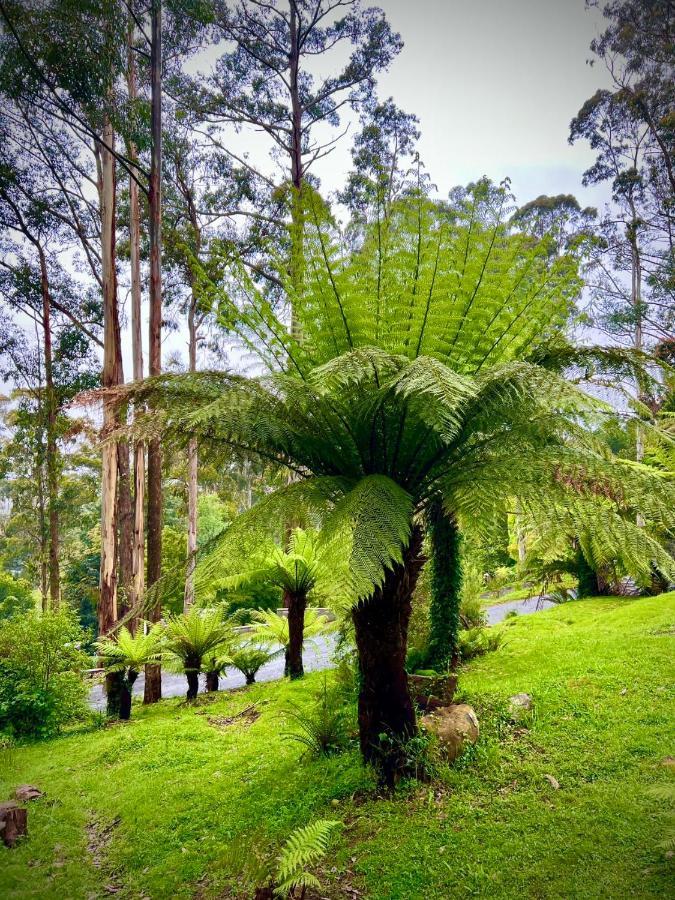 Melbourne Topview Villa In Dandenong Ranges Near Skyhigh 칼로라마 외부 사진