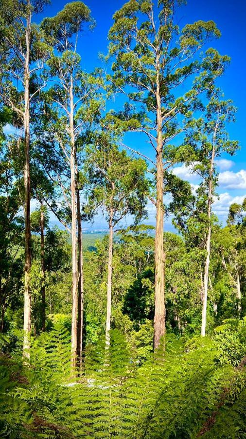 Melbourne Topview Villa In Dandenong Ranges Near Skyhigh 칼로라마 외부 사진