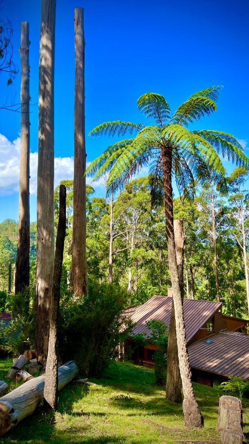 Melbourne Topview Villa In Dandenong Ranges Near Skyhigh 칼로라마 외부 사진