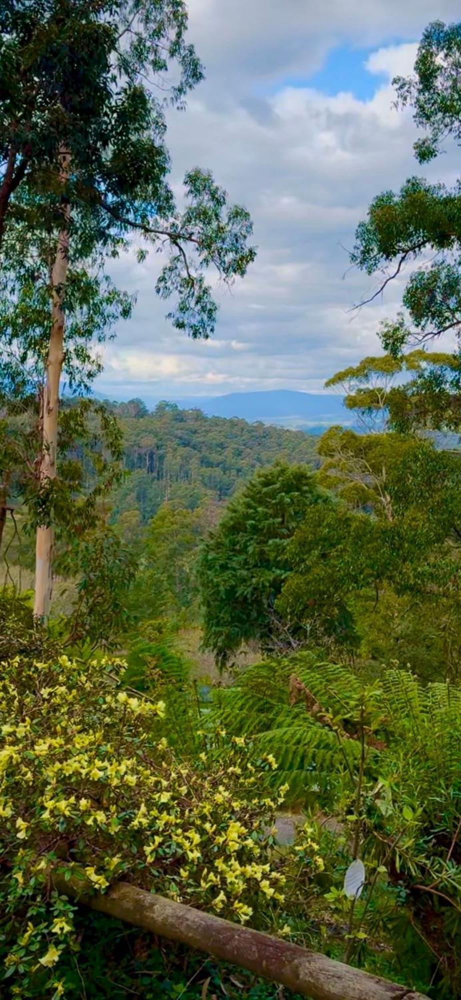Melbourne Topview Villa In Dandenong Ranges Near Skyhigh 칼로라마 외부 사진