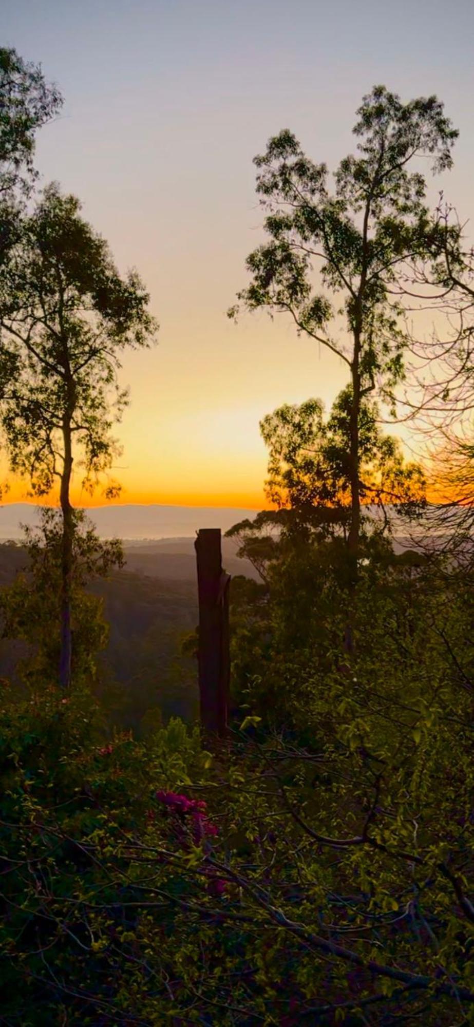 Melbourne Topview Villa In Dandenong Ranges Near Skyhigh 칼로라마 외부 사진
