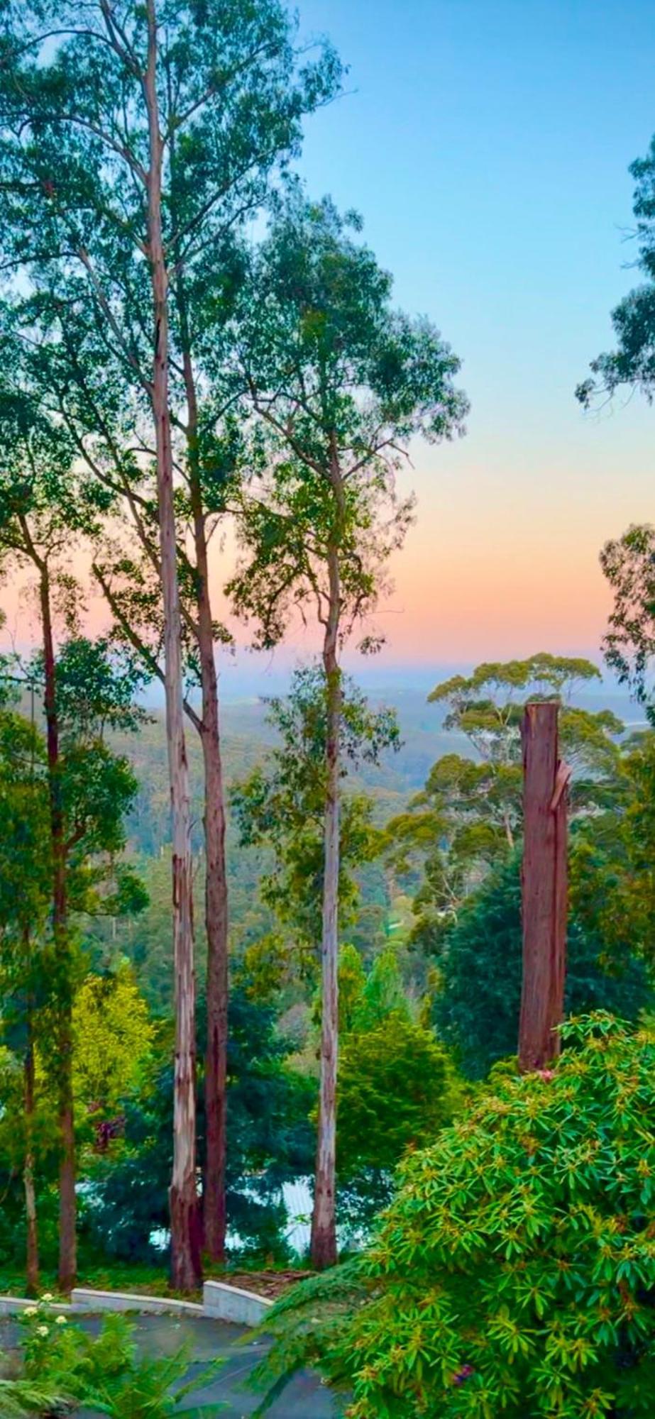Melbourne Topview Villa In Dandenong Ranges Near Skyhigh 칼로라마 외부 사진