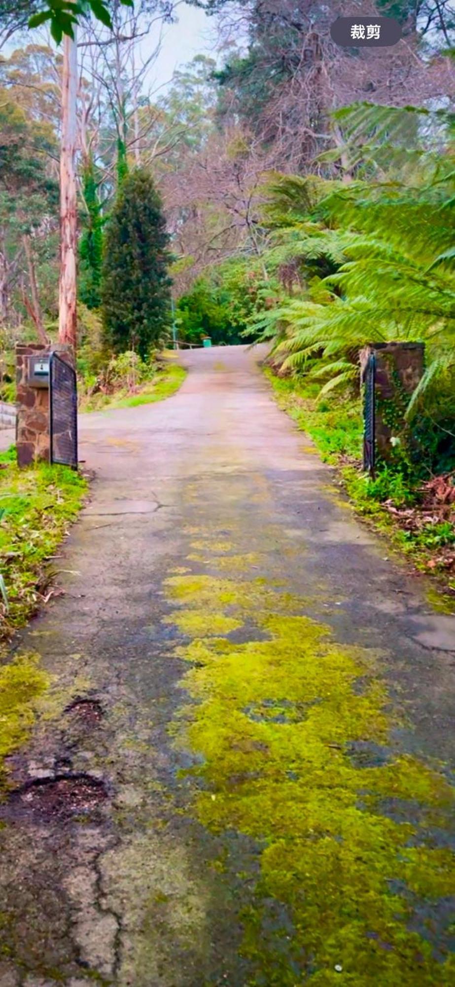Melbourne Topview Villa In Dandenong Ranges Near Skyhigh 칼로라마 외부 사진